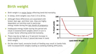 Birth weight
 Birth weight is a major factor affecting lamb/kid mortality.
 In sheep, birth weights vary from 3.5 to 20 lbs.
 Although these differences are associated with
breed, dam age, and litter size, they are highly
dependent on nutrition and in particular
energy intake during the last month of pregnancy.
 Inadequate energy intake during this period will
result in lowered birth weights which in turn is
a major factor affecting lamb/kid mortality.
 There may be as high as a 12 percent increase in
lamb mortality for every 2 pound decrease in lamb
birth weight.
 On the other hand, excessive levels of feeding may result in lambs/kids
with increased birth weights leading to lambing/kidding difficulties.
 