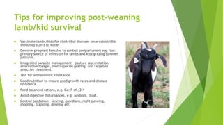 Tips for improving post-weaning
lamb/kid survival
 Vaccinate lambs/kids for clostridial diseases once colostridial
immunity starts to wane.
 Deworm pregnant females to control periparturient egg rise:
primary source of infection for lambs and kids grazing summer
pastures.
 Integrated parasite management: pasture rest/rotation,
alternative forages, multi-species grazing, and targeted
selective treatment.
 Test for anthelmintic resistance.
 Good nutrition to ensure good growth rates and disease
resistance.
 Feed balanced rations, e.g. Ca: P of >2:1
 Avoid digestive disturbances, e.g. acidosis, bloat.
 Control predation: fencing, guardians, night penning,
shooting, trapping, denning etc.
 