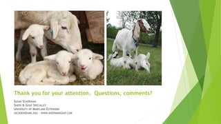 Thank you for your attention. Questions, comments?
SUSAN SCHOENIAN
SHEEP & GOAT SPECIALIST
UNIVERSITY OF MARYLAND EXTENSION
SSCHOEN@UMD.EDU – WWW.SHEEPANDGOAT.COM
 