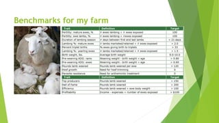 Benchmarks for my farm
 