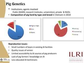 Improving livestock value chains: The example of Vietnam (pigs)