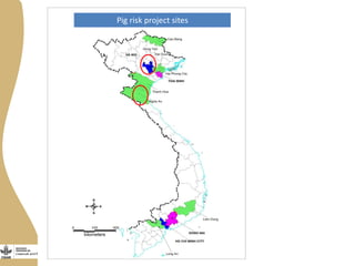 Improving livestock value chains: The example of Vietnam (pigs)