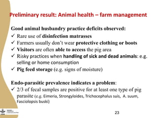 Improving livestock value chains: The example of Vietnam (pigs)