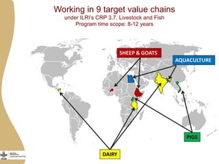 Improving livestock value chains: The example of Vietnam (pigs)
