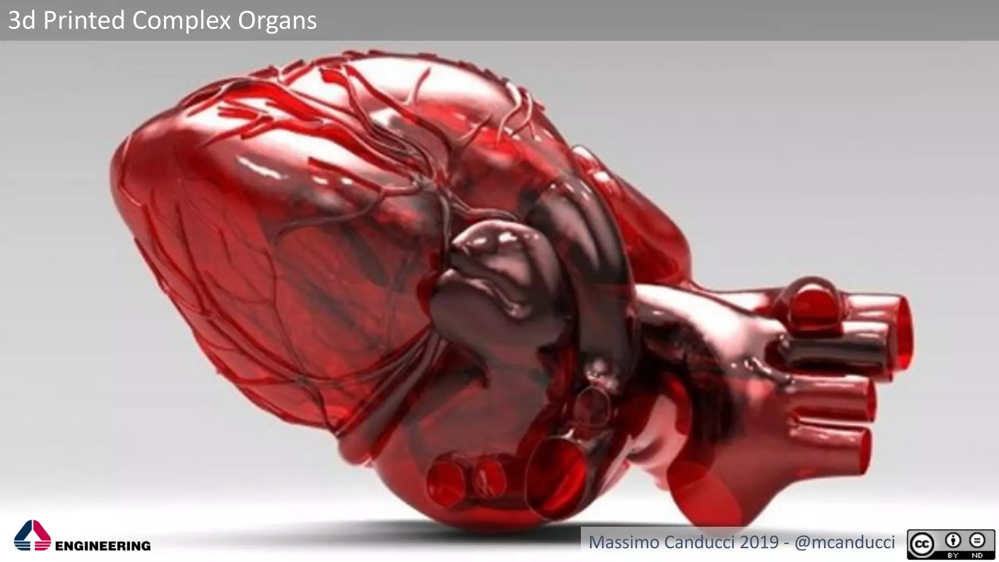 3d Printed Complex Organs
Massimo Canducci 2019 - @mcanducci
 