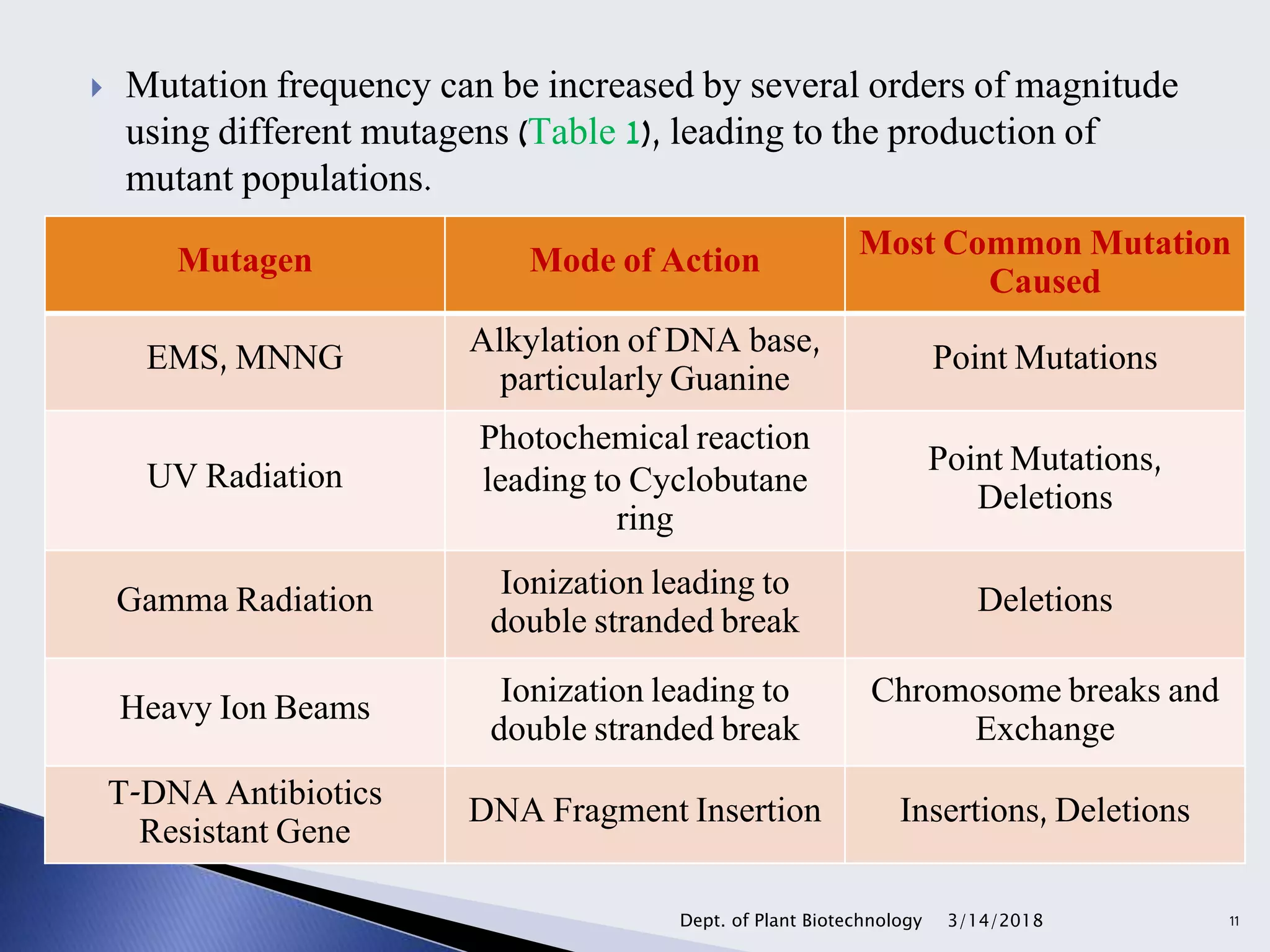  Mutation frequency can be increased by several orders of magnitude
using different mutagens (Table 1), leading to the production of
mutant populations.
3/14/2018Dept. of Plant Biotechnology 11
Mutagen Mode of Action Most Common Mutation
Caused
EMS, MNNG Alkylation of DNA base,
particularly Guanine
Point Mutations
UV Radiation
Photochemical reaction
leading to Cyclobutane
ring
Point Mutations,
Deletions
Gamma Radiation Ionization leading to
double stranded break
Deletions
Heavy Ion Beams Ionization leading to
double stranded break
Chromosome breaks and
Exchange
T-DNA Antibiotics
Resistant Gene
DNA Fragment Insertion Insertions, Deletions
 