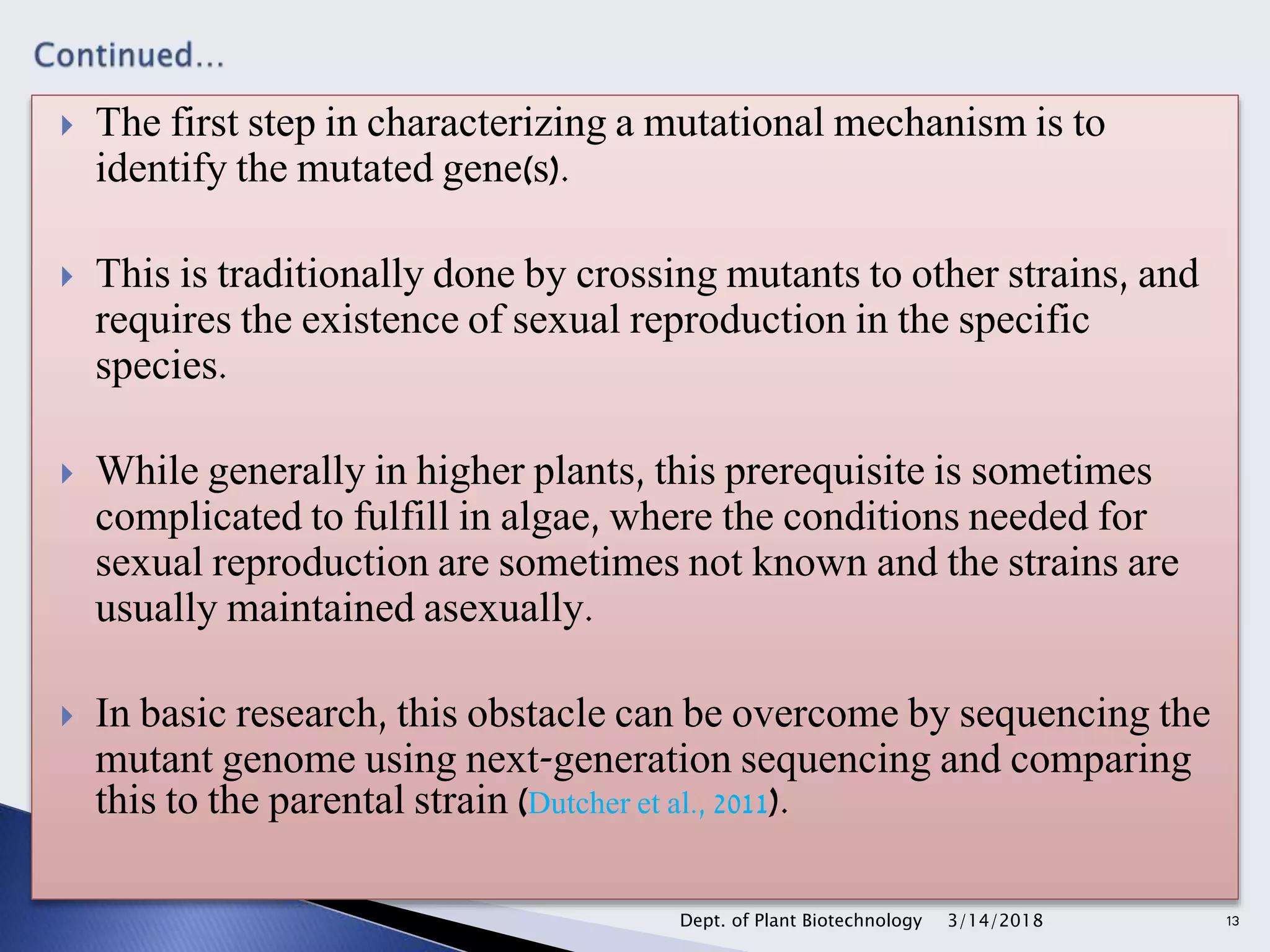  The first step in characterizing a mutational mechanism is to
identify the mutated gene(s).
 This is traditionally done by crossing mutants to other strains, and
requires the existence of sexual reproduction in the specific
species.
 While generally in higher plants, this prerequisite is sometimes
complicated to fulfill in algae, where the conditions needed for
sexual reproduction are sometimes not known and the strains are
usually maintained asexually.
 In basic research, this obstacle can be overcome by sequencing the
mutant genome using next-generation sequencing and comparing
this to the parental strain (Dutcher et al., 2011).
3/14/2018Dept. of Plant Biotechnology 13
 