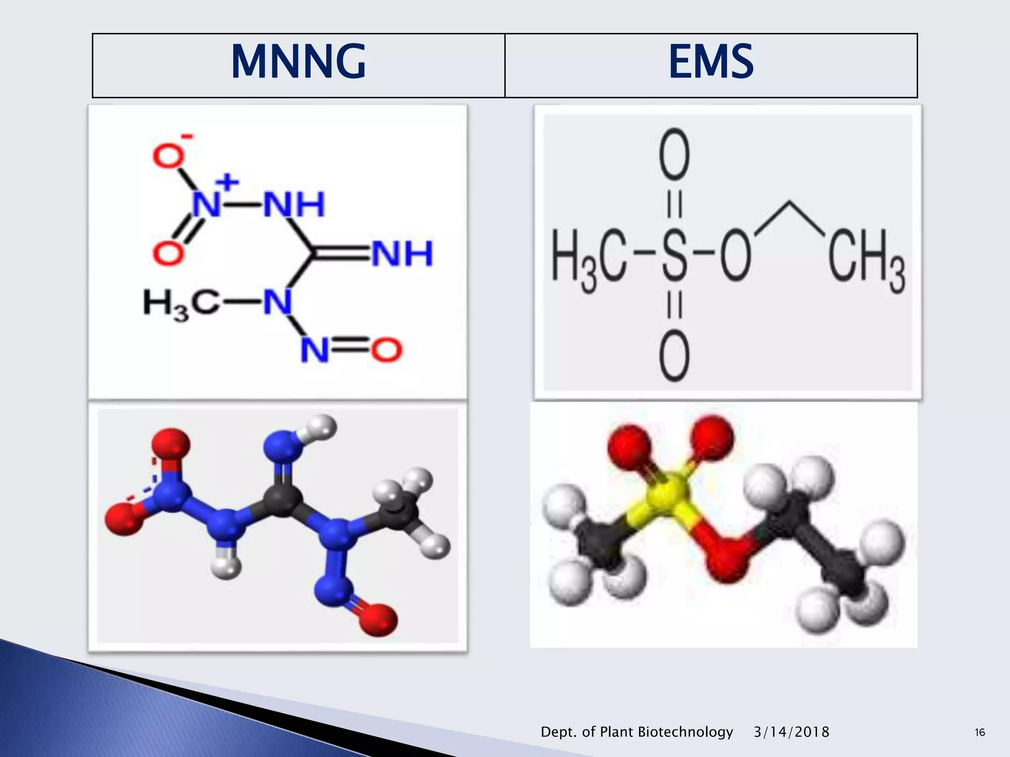 3/14/2018Dept. of Plant Biotechnology 16
MNNG EMS
 
