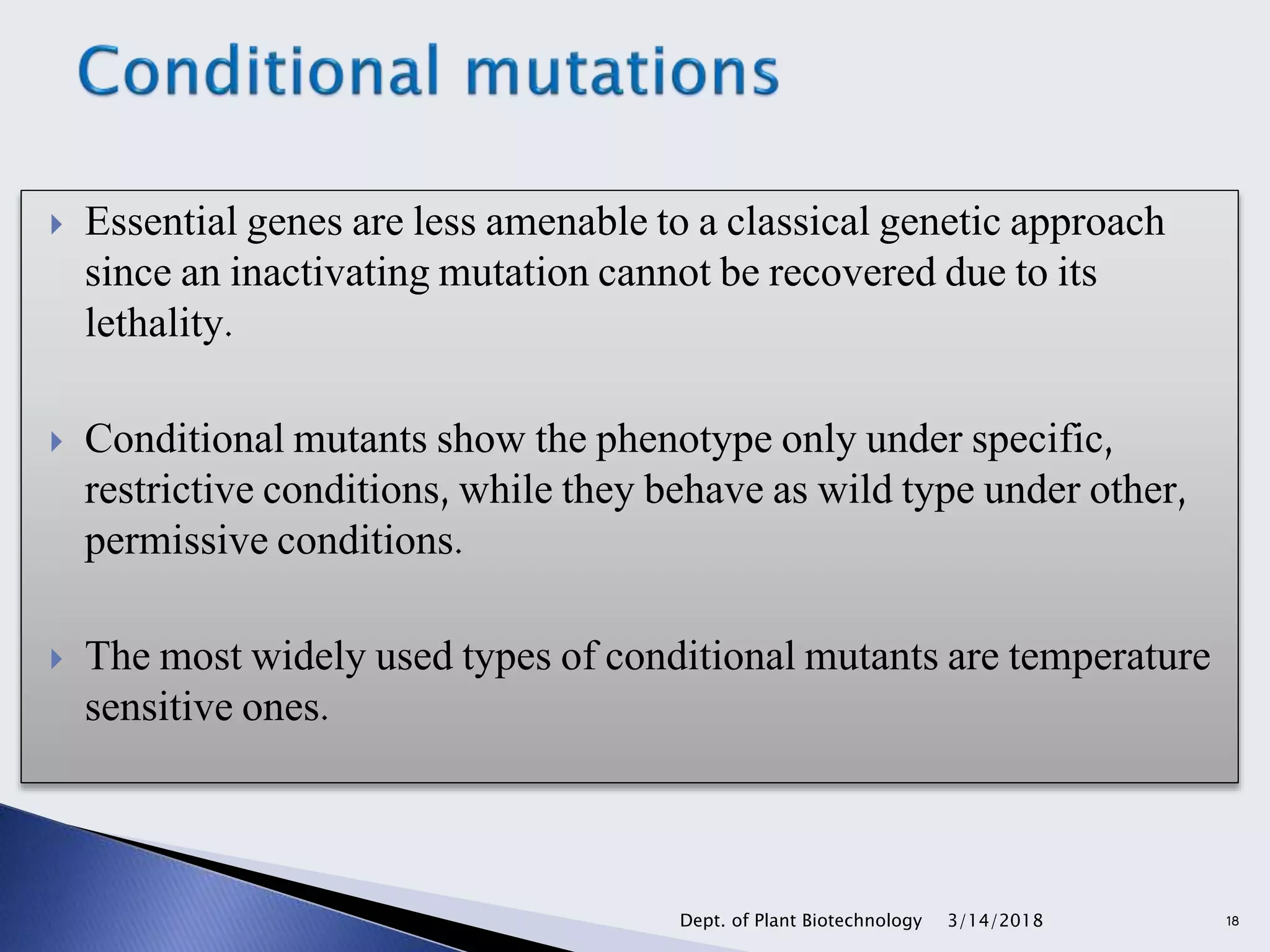 Essential genes are less amenable to a classical genetic approach
since an inactivating mutation cannot be recovered due to its
lethality.
 Conditional mutants show the phenotype only under specific,
restrictive conditions, while they behave as wild type under other,
permissive conditions.
 The most widely used types of conditional mutants are temperature
sensitive ones.
3/14/2018Dept. of Plant Biotechnology 18
 