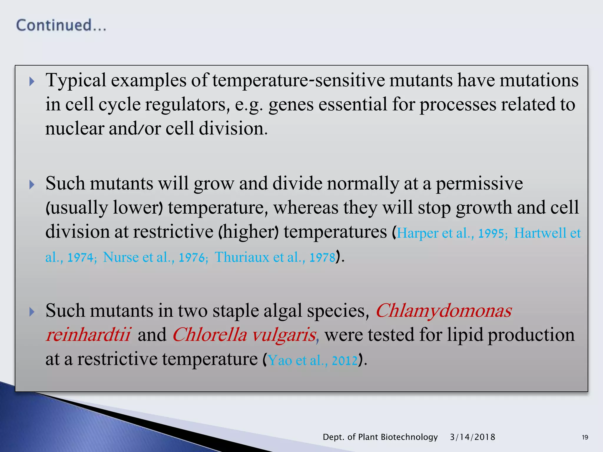  Typical examples of temperature-sensitive mutants have mutations
in cell cycle regulators, e.g. genes essential for processes related to
nuclear and/or cell division.
 Such mutants will grow and divide normally at a permissive
(usually lower) temperature, whereas they will stop growth and cell
division at restrictive (higher) temperatures (Harper et al., 1995; Hartwell et
al., 1974; Nurse et al., 1976; Thuriaux et al., 1978).
 Such mutants in two staple algal species, Chlamydomonas
reinhardtii and Chlorella vulgaris, were tested for lipid production
at a restrictive temperature (Yao et al., 2012).
3/14/2018Dept. of Plant Biotechnology 19
 