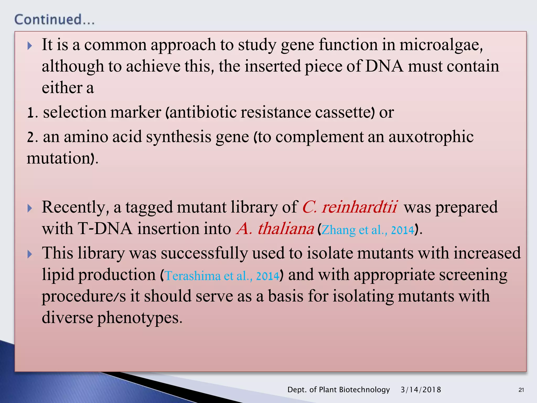  It is a common approach to study gene function in microalgae,
although to achieve this, the inserted piece of DNA must contain
either a
1. selection marker (antibiotic resistance cassette) or
2. an amino acid synthesis gene (to complement an auxotrophic
mutation).
 Recently, a tagged mutant library of C. reinhardtii was prepared
with T-DNA insertion into A. thaliana (Zhang et al., 2014).
 This library was successfully used to isolate mutants with increased
lipid production (Terashima et al., 2014) and with appropriate screening
procedure/s it should serve as a basis for isolating mutants with
diverse phenotypes.
3/14/2018Dept. of Plant Biotechnology 21
 