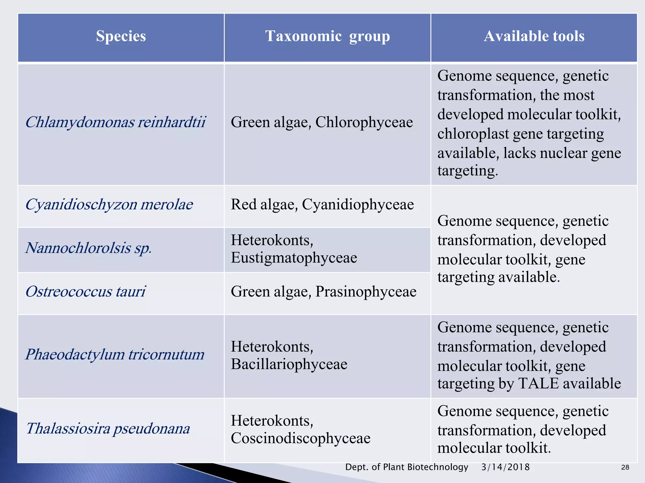 Species Taxonomic group Available tools
Chlamydomonas reinhardtii Green algae, Chlorophyceae
Genome sequence, genetic
transformation, the most
developed molecular toolkit,
chloroplast gene targeting
available, lacks nuclear gene
targeting.
Cyanidioschyzon merolae Red algae, Cyanidiophyceae
Genome sequence, genetic
transformation, developed
molecular toolkit, gene
targeting available.
Nannochlorolsis sp. Heterokonts,
Eustigmatophyceae
Ostreococcus tauri Green algae, Prasinophyceae
Phaeodactylum tricornutum Heterokonts,
Bacillariophyceae
Genome sequence, genetic
transformation, developed
molecular toolkit, gene
targeting by TALE available
Thalassiosira pseudonana Heterokonts,
Coscinodiscophyceae
Genome sequence, genetic
transformation, developed
molecular toolkit.
3/14/2018Dept. of Plant Biotechnology 28
 