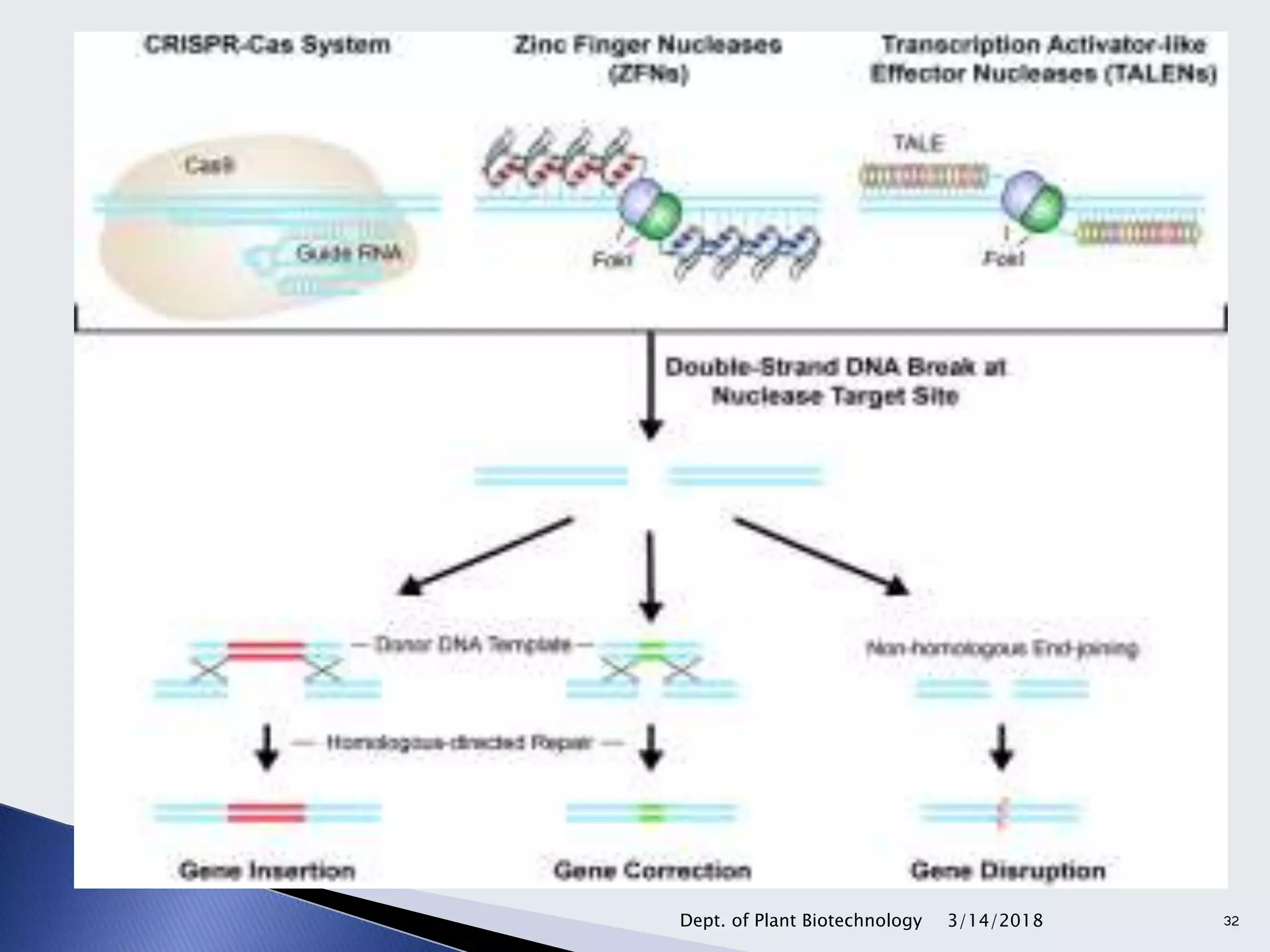 3/14/2018Dept. of Plant Biotechnology 32
 
