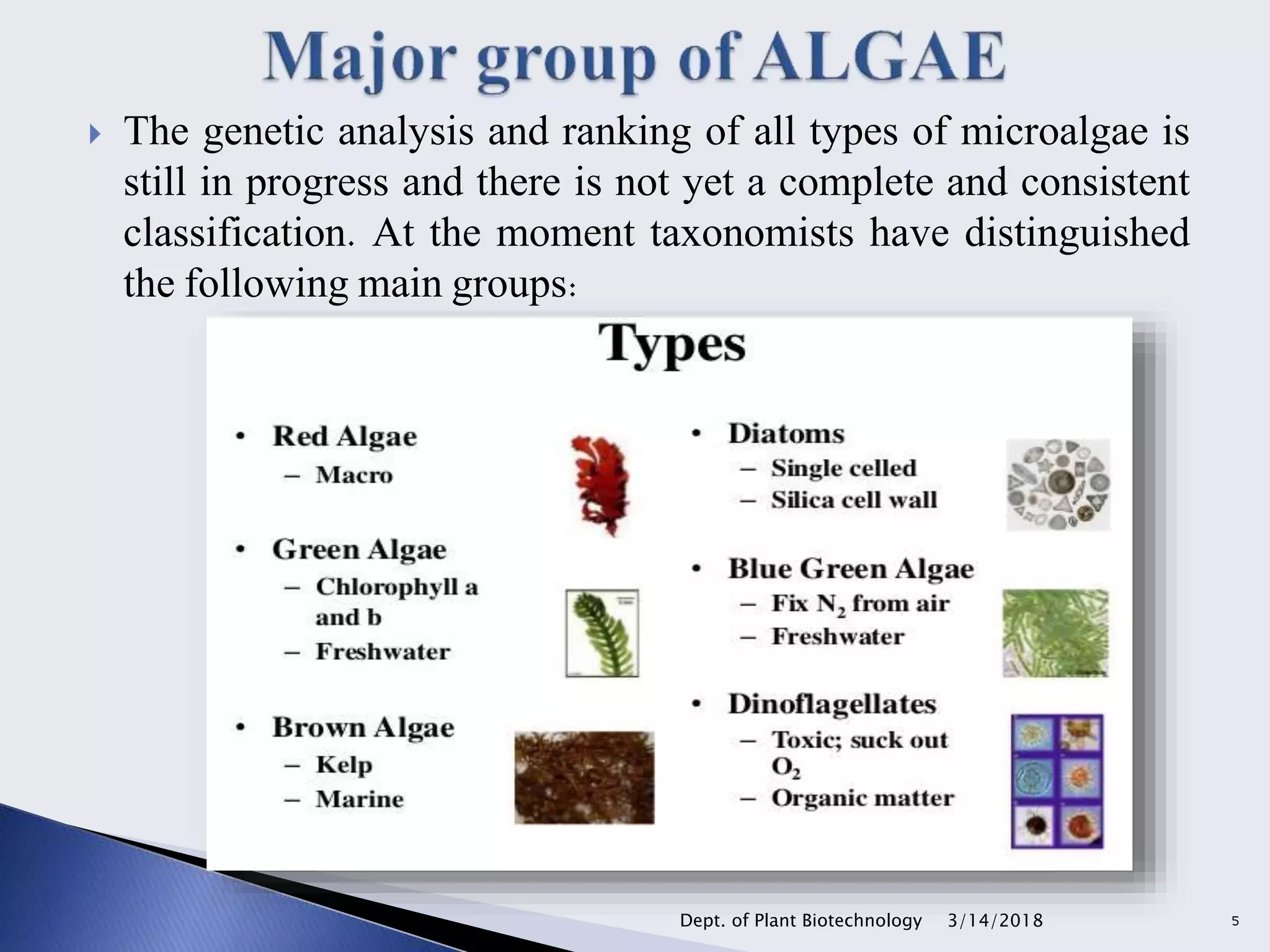  The genetic analysis and ranking of all types of microalgae is
still in progress and there is not yet a complete and consistent
classification. At the moment taxonomists have distinguished
the following main groups:
3/14/2018Dept. of Plant Biotechnology 5
 