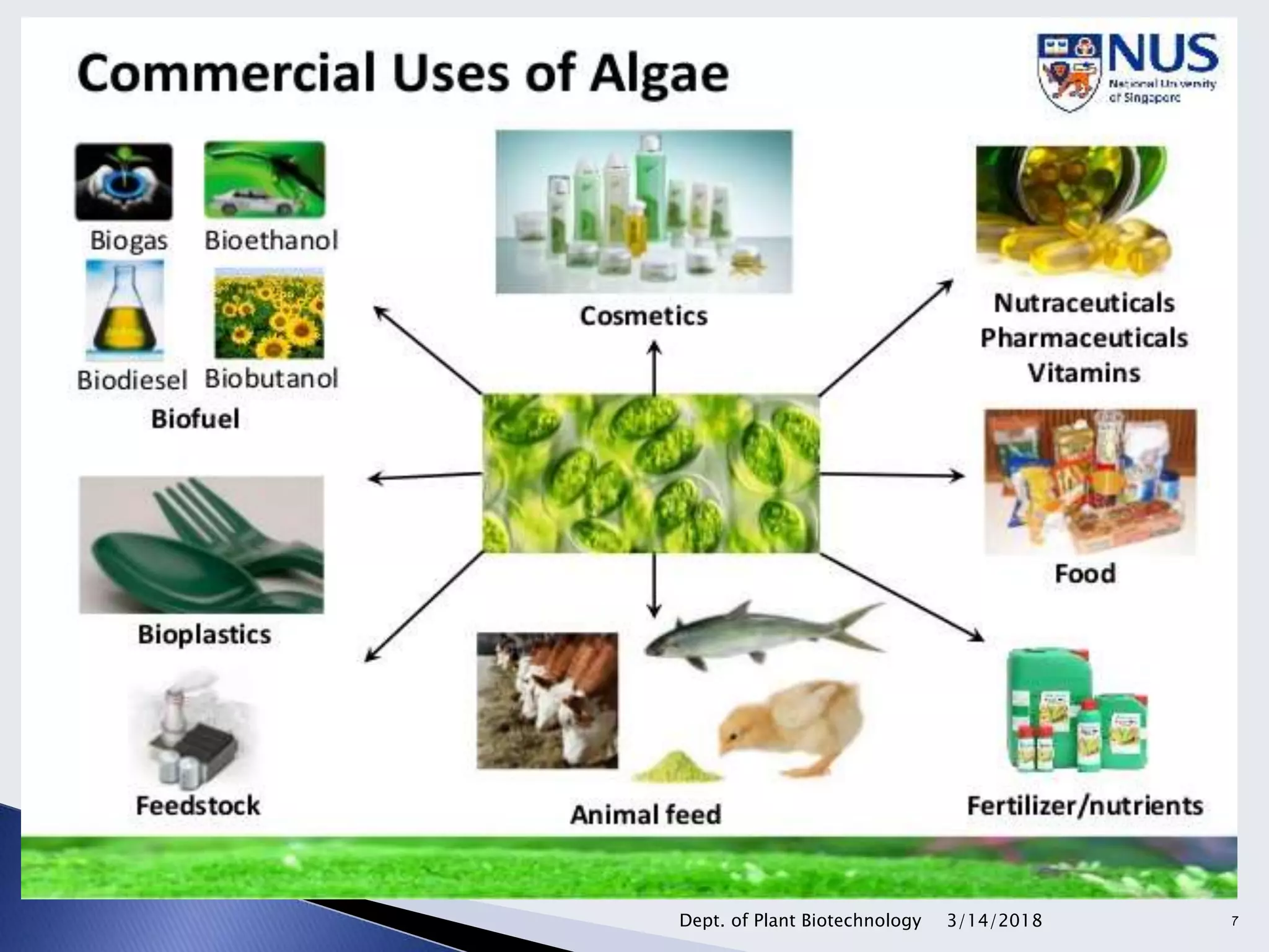 3/14/2018Dept. of Plant Biotechnology 7
 