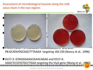 An integrated approach to assessing and improving milk safety and nutrition in the Tanzanian dairy chain