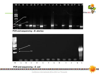 An integrated approach to assessing and improving milk safety and nutrition in the Tanzanian dairy chain