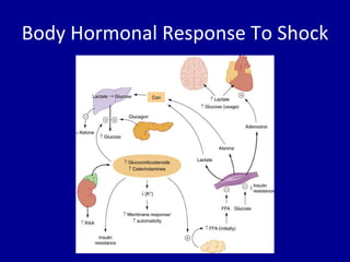 Body Hormonal Response To Shock 