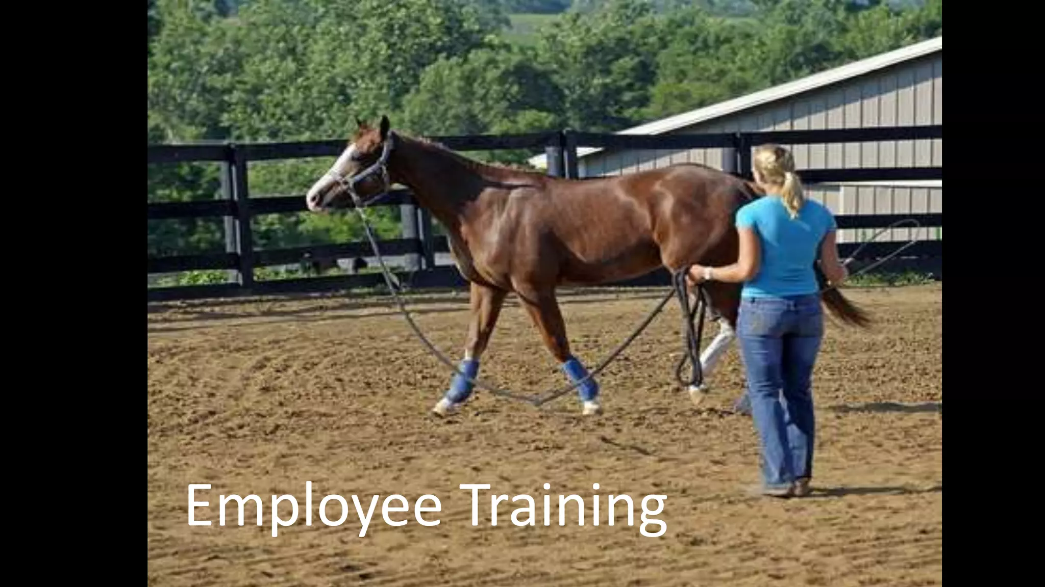 Employee Training
 