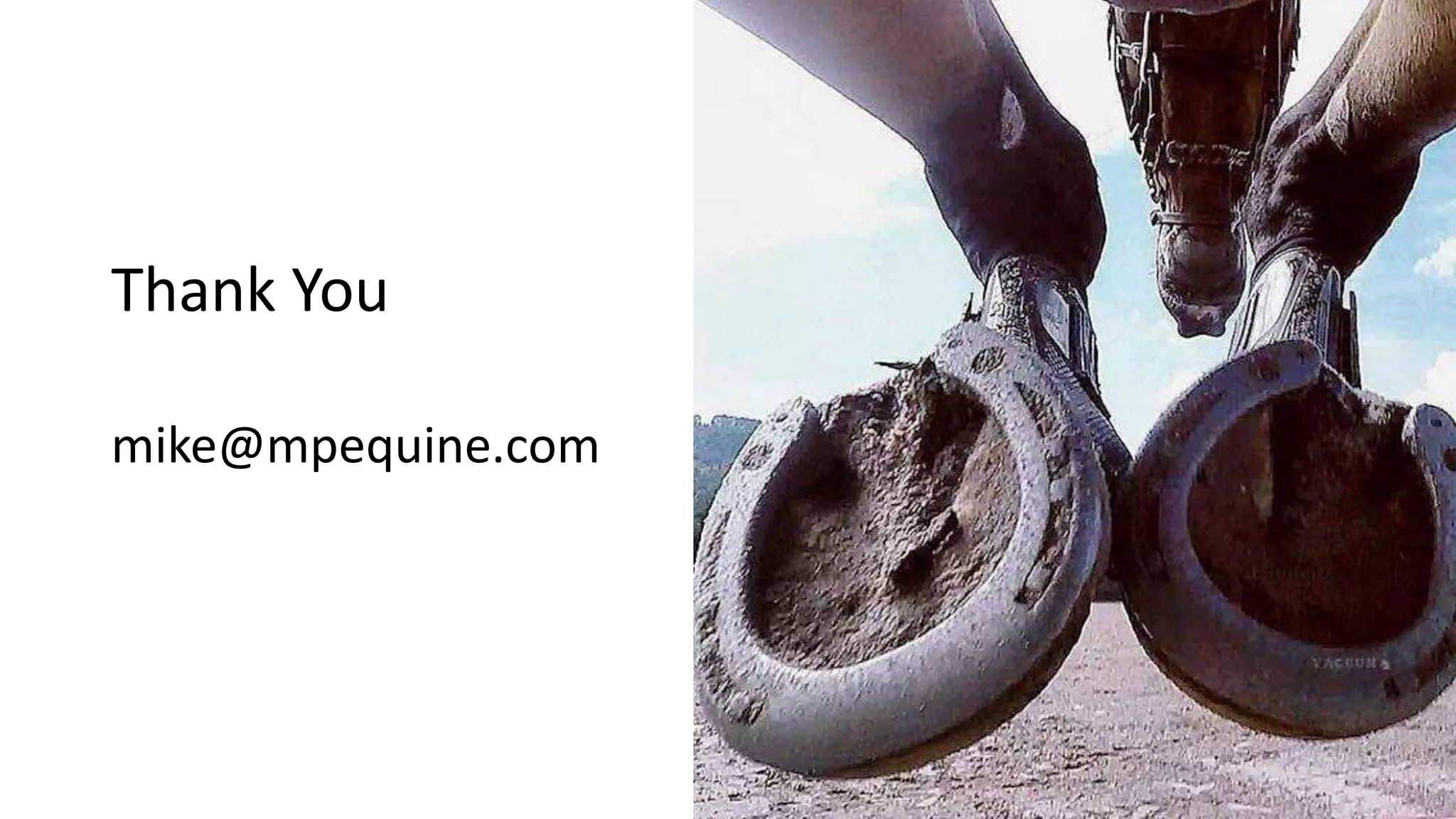 Thank You
mike@mpequine.com
 