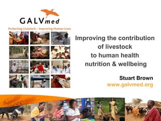 Improving the contribution
of livestock
to human health
nutrition & wellbeing
Stuart Brown
www.galvmed.org
 