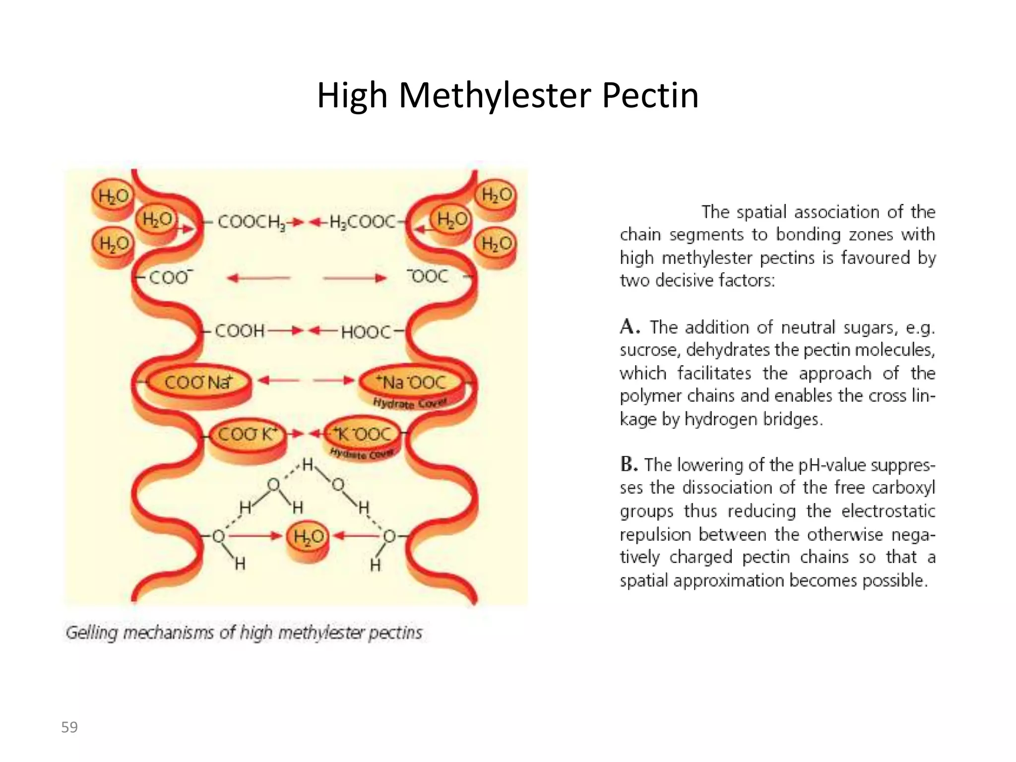 High Methylester Pectin




59
 