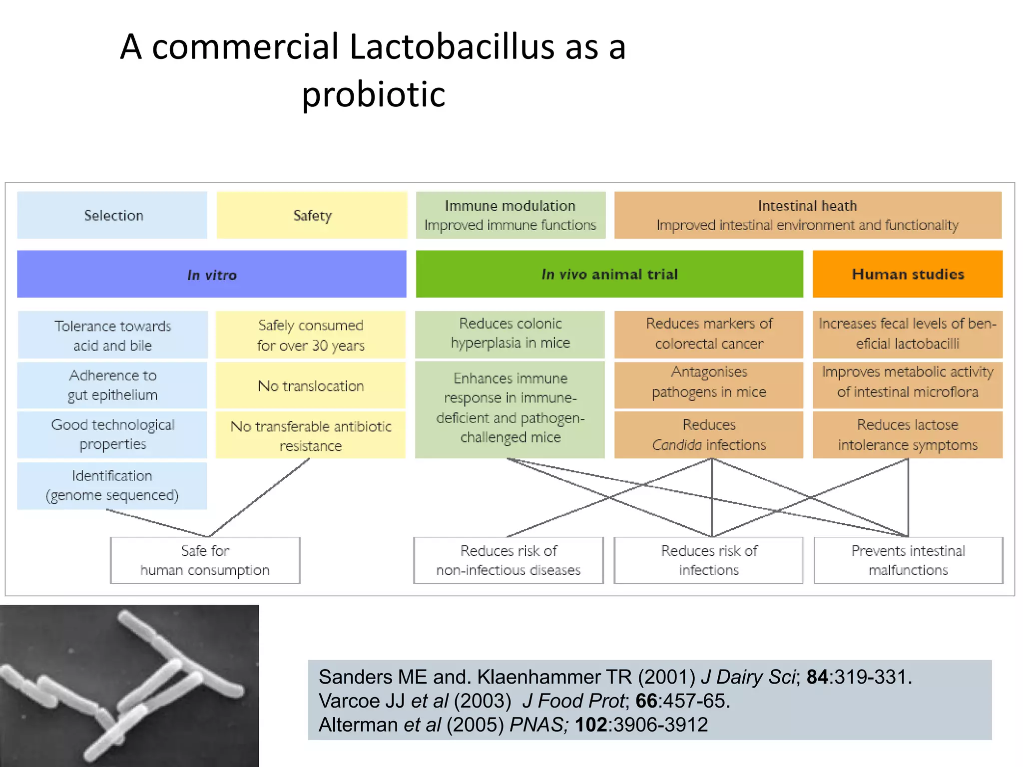 A commercial Lactobacillus as a
              probiotic




                 Sanders ME and. Klaenhammer TR (2001) J Dairy Sci; 84:319-331.
                 Varcoe JJ et al (2003) J Food Prot; 66:457-65.
65               Alterman et al (2005) PNAS; 102:3906-3912
 