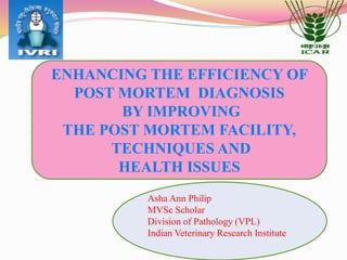 ENHANCING THE EFFICIENCY OF 
POST MORTEM DIAGNOSIS 
BY IMPROVING 
THE POST MORTEM FACILITY, 
TECHNIQUES AND 
HEALTH ISSUES 
Asha Ann Philip 
MVSc Scholar 
Division of Pathology (VPL) 
Indian Veterinary Research Institute 
 
