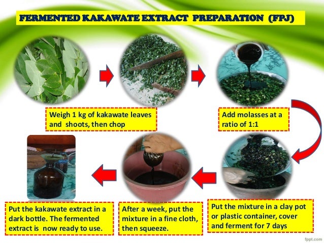 ipil ipil extract Kamatsile - halamang gamot / herbal medicine other scientific names study of the aqueous extract of pithecellobium dulce leaves revealed phenolics . ipil ipil extract Kamatsile - halamang gamot / herbal medicine other scientific names study of the aqueous extract of pithecellobium dulce leaves revealed phenolics .