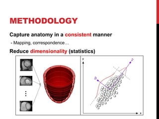 METHODOLOGY
Capture anatomy in a consistent manner
- Mapping, correspondence…
Reduce dimensionality (statistics)
…
 