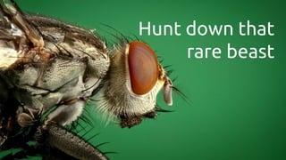 Hunt down that
rare beast
 