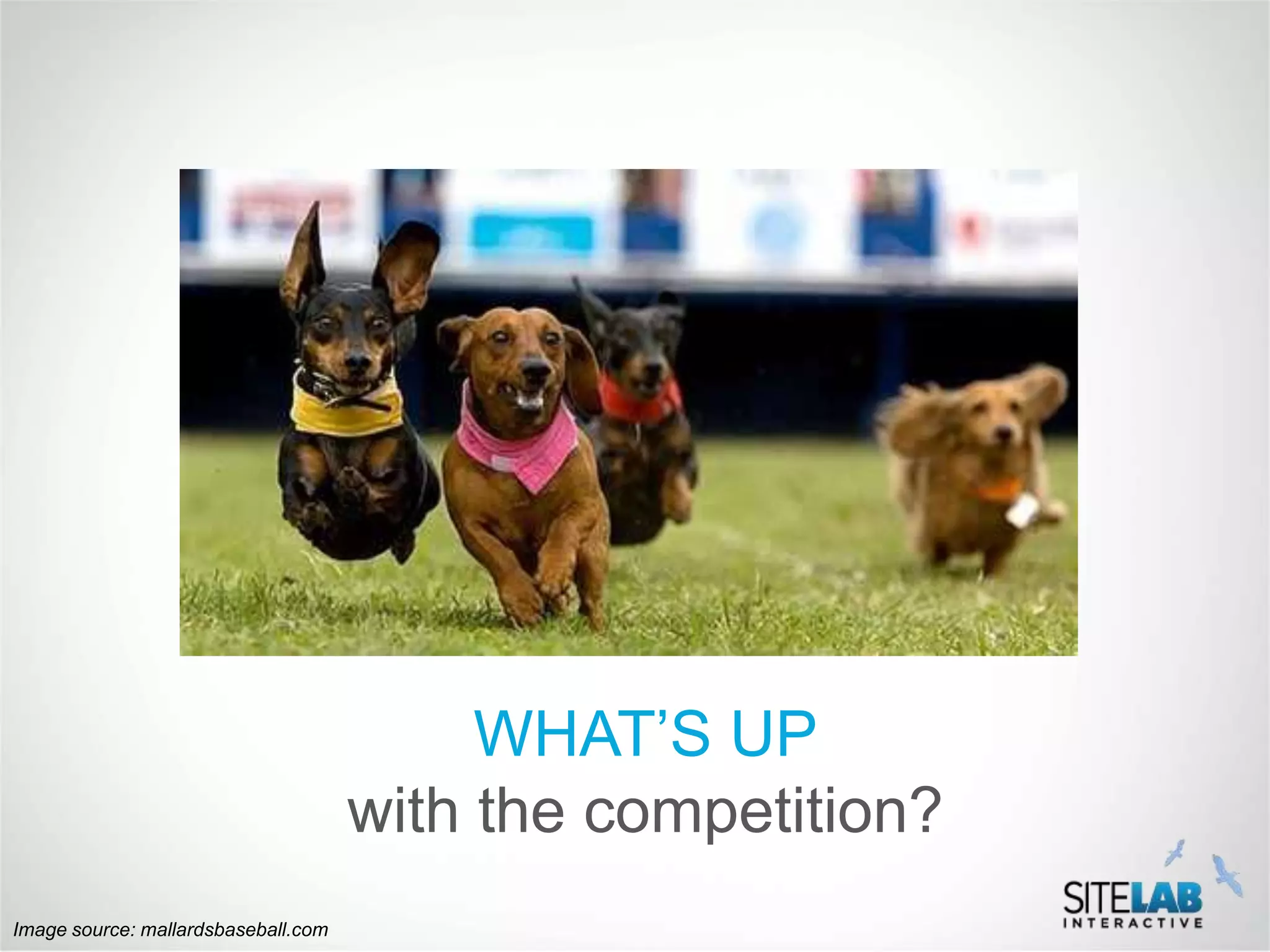 WHAT’S UP
                                     with the competition?
Image source: mallardsbaseball.com
 