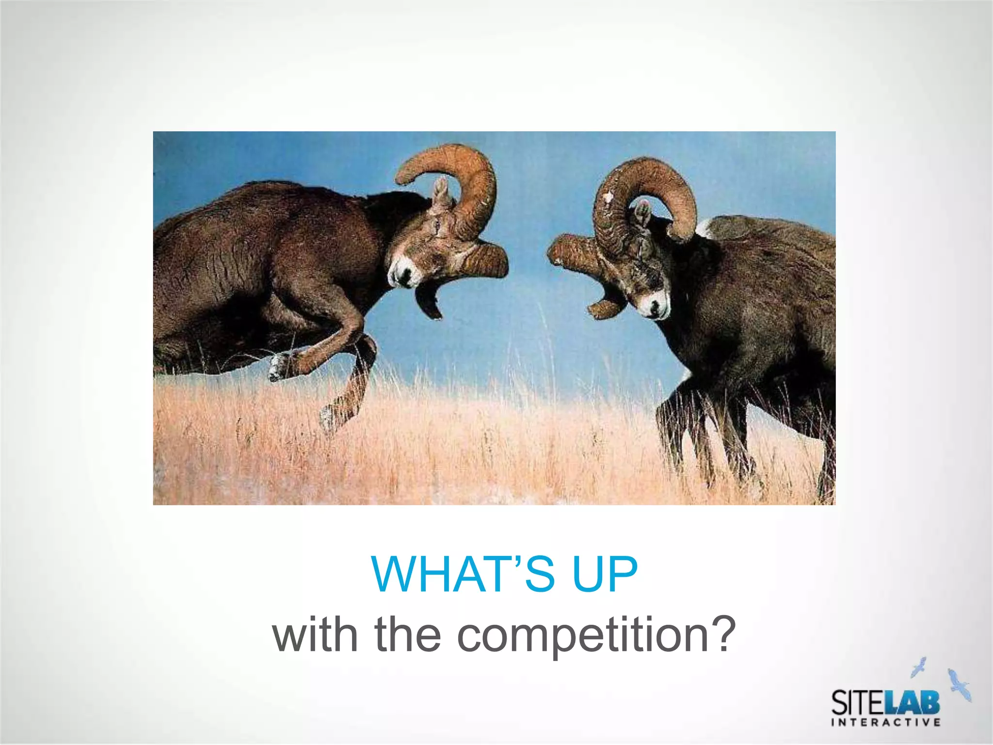 WHAT’S UP
with the competition?
 