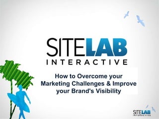 How to Overcome your
Marketing Challenges & Improve
    your Brand's Visibility
 