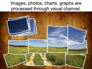 Images, photos, charts, graphs are processed through visual channel.