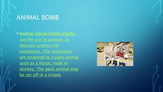 ANIMAL BOMB
• Animal-borne bomb attacks
are the use of animals as
delivery systems for
explosives. The explosives
are strapped to a pack animal
such as a horse, mule or
donkey. The pack animal may
be set off in a crowd.
 