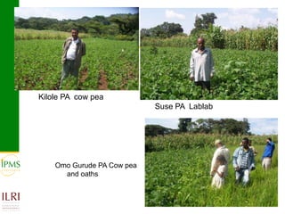 Small ruminant value chain development case of Goma PLW