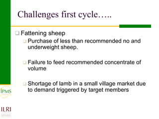 Small ruminant value chain development case of Goma PLW