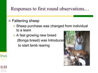 Small ruminant value chain development case of Goma PLW