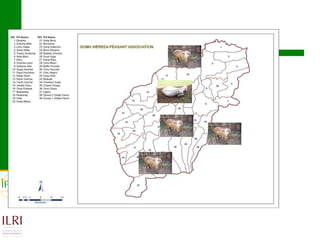 Small ruminant value chain development case of Goma PLW