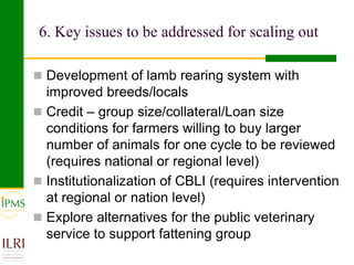 Small ruminant value chain development case of Goma PLW
