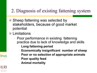 Small ruminant value chain development case of Goma PLW