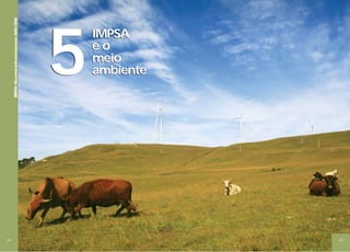 44
IMPSA • RELATÓRIO DE SUSTENTABILIDADE • 2010 / 2012

5
IMPSA
eo
meio
ambiente

45

 