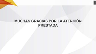 MUCHAS GRACIAS POR LA ATENCIÓN
PRESTADA

 