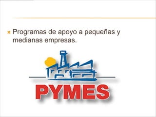    Programas de apoyo a pequeñas y
    medianas empresas.
 