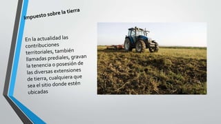 Impuestos y diferentes tipos de impuestos 