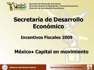Secretaría de Desarrollo Económico Incentivos Fiscales 2009 México●   Capital en movimiento 