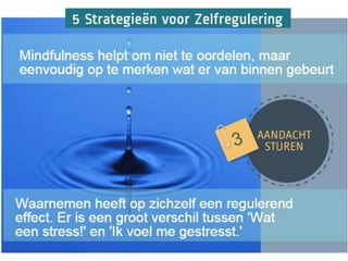 Zelfregulering - Infographic door Impuls