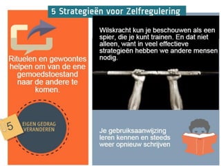 Zelfregulering - Infographic door Impuls