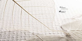 catalogo para impulsar el diseño gráfico